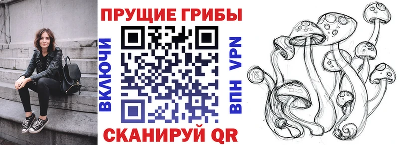 Галлюциногенные грибы мицелий  Зеленодольск 