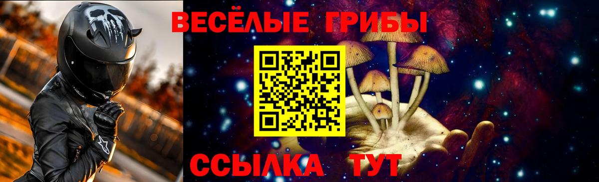 даркнет сайт  Вход с VPN  Галлюциногенные грибы Psilocybine cubensis  Зеленодольск  Галлюциногенные грибы мицелий 